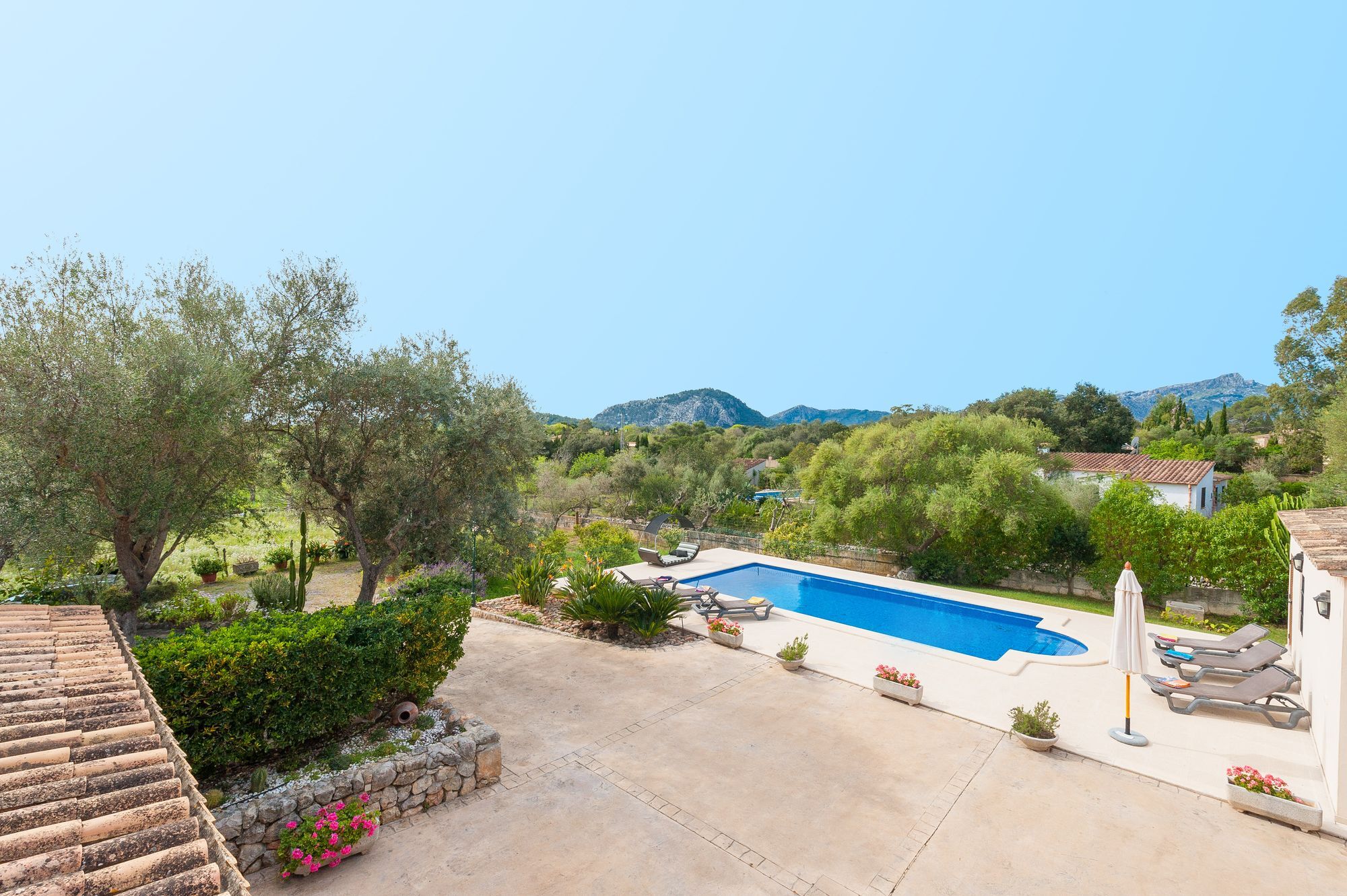 Clavell 5* Pollença